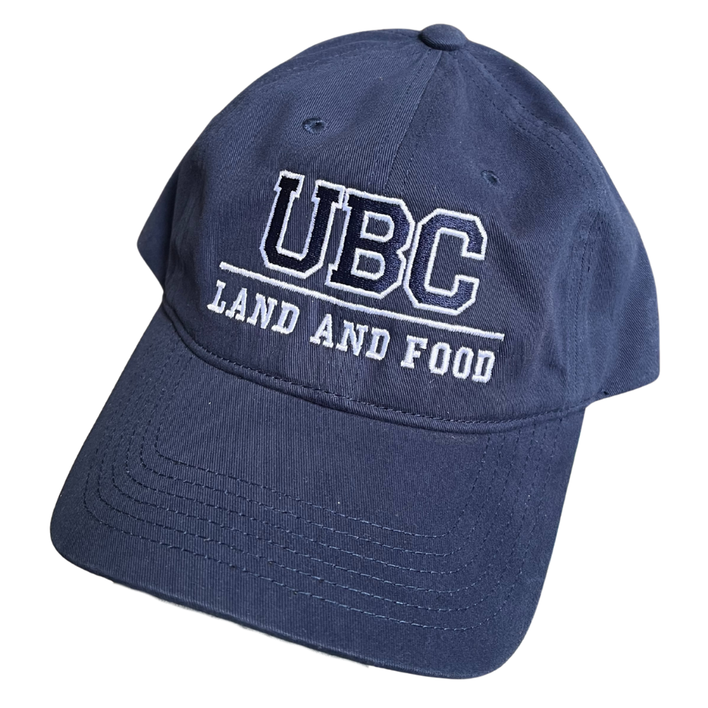 Baseball Hat - Navy