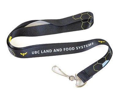 Lanyard
