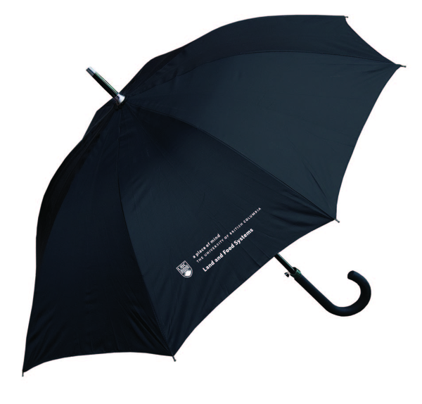 umbrella